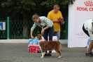 Региональная выставка собак всех пород 