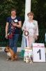 Региональная выставка собак всех пород 
