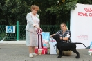 Региональная выставка собак всех пород 