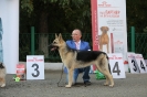 Региональная выставка собак всех пород 